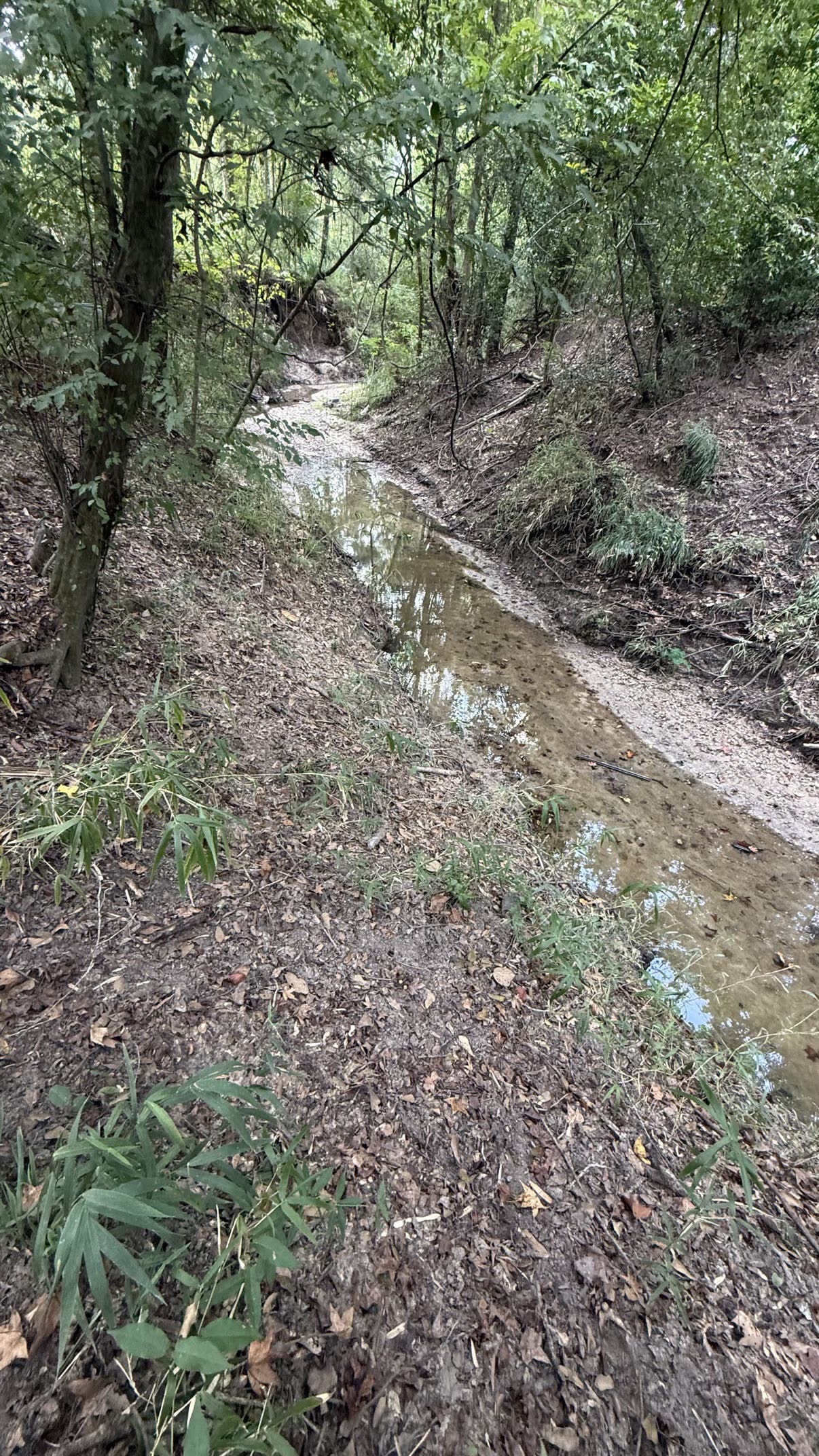 Clear creek water