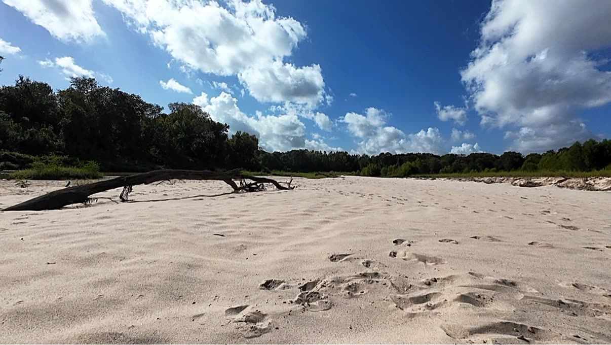 Close-up of fine white sand texture
